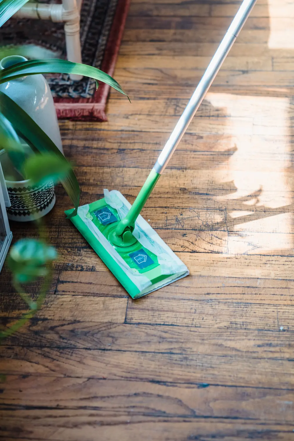 Refinished hardwood flooring — high angle shot mop cleaning natural