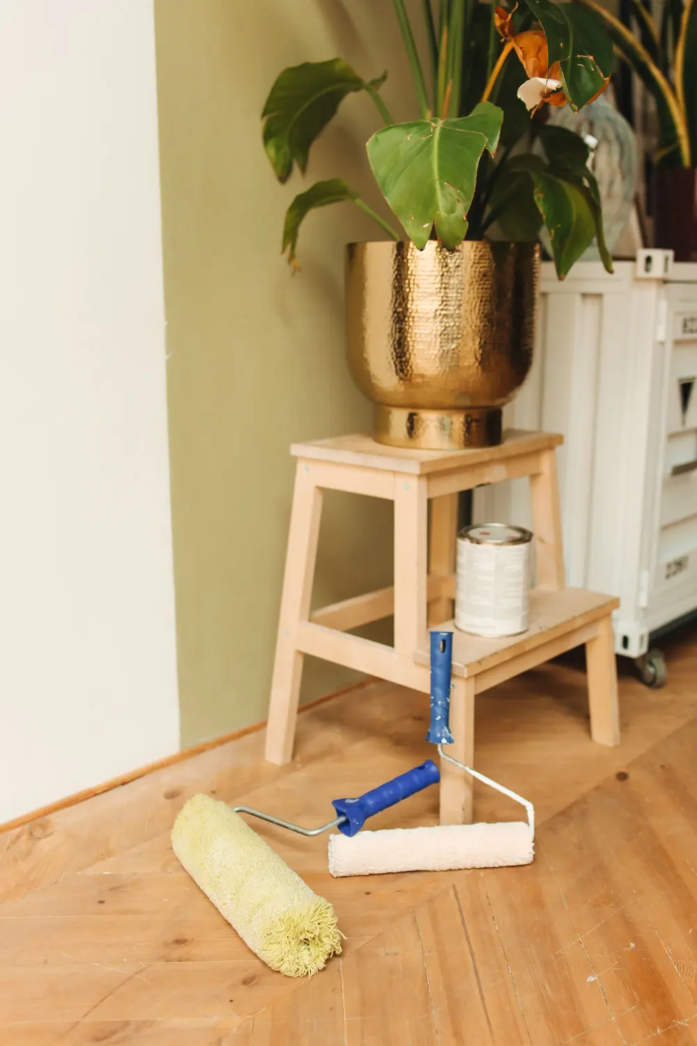 Refinished hardwood flooring — home interior scene paint rollers greenery golden